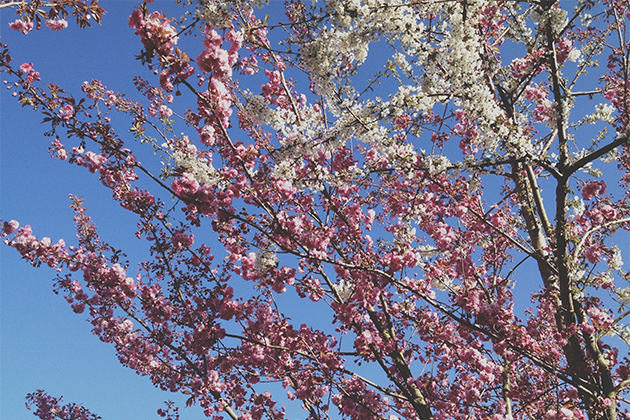 FoundandTreasured.com: iPhoneography