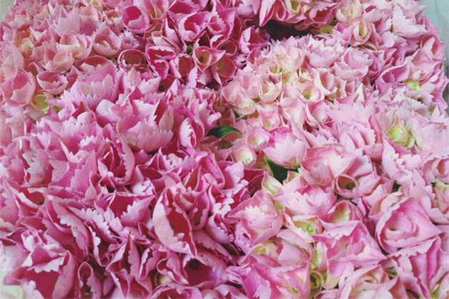 FoundandTreasured.com: iPhoneography